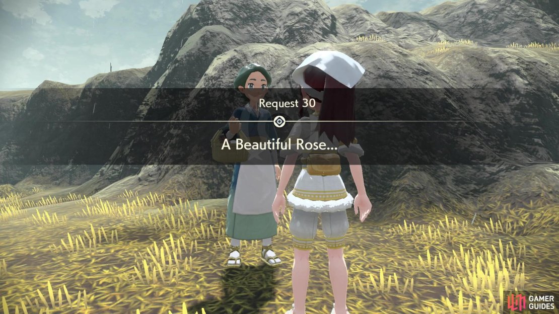 Request 30: A Beatiful Rose&hellip;