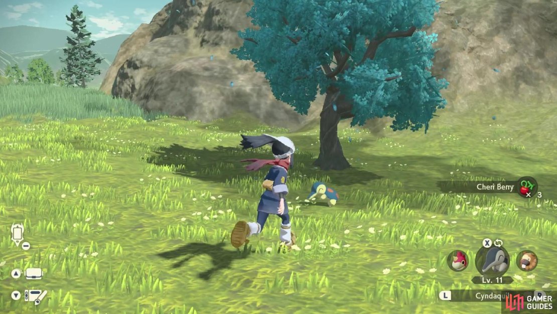 There&rsquo;s a Cheri Berry tree right next to Bjorn!