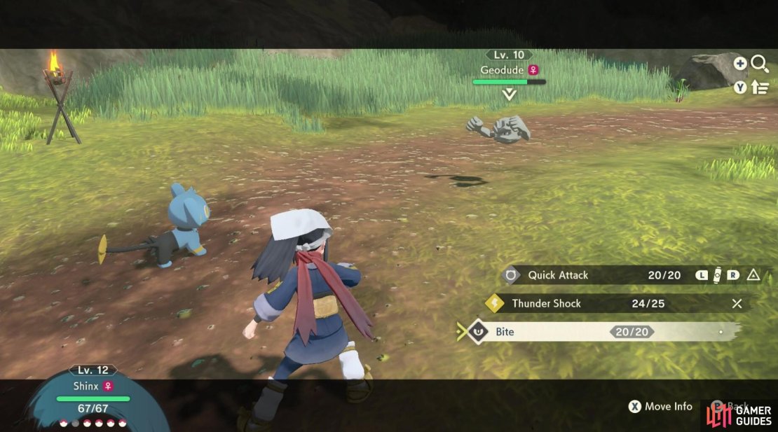 Go out and catch a Geodude for Radisa.