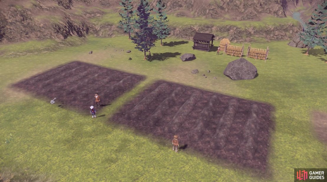 The Pok&eacute;mon will help plough a new field for farming!