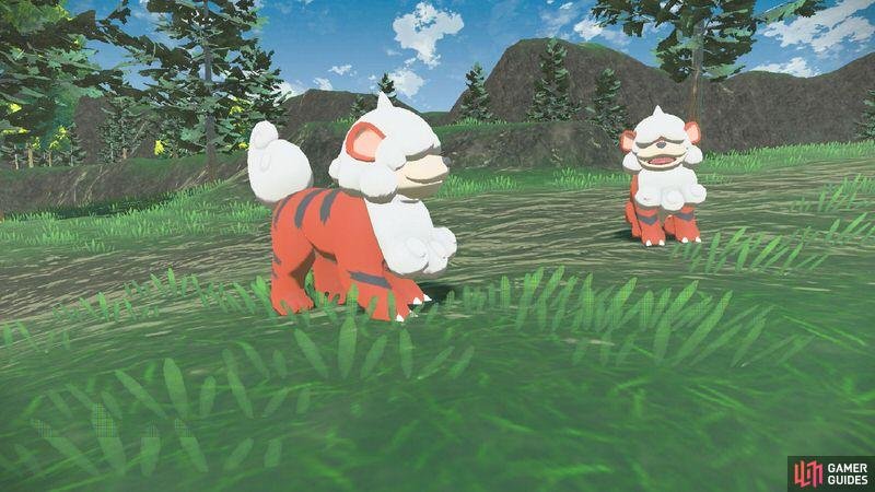 Growlithe (Credit: The Pok&eacute;mon Company).