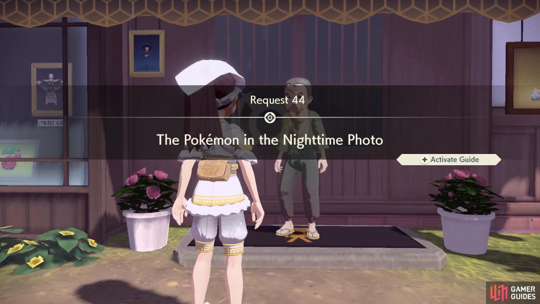 Request 44: The Pok&eacute;mon in the Nighttime Photo.