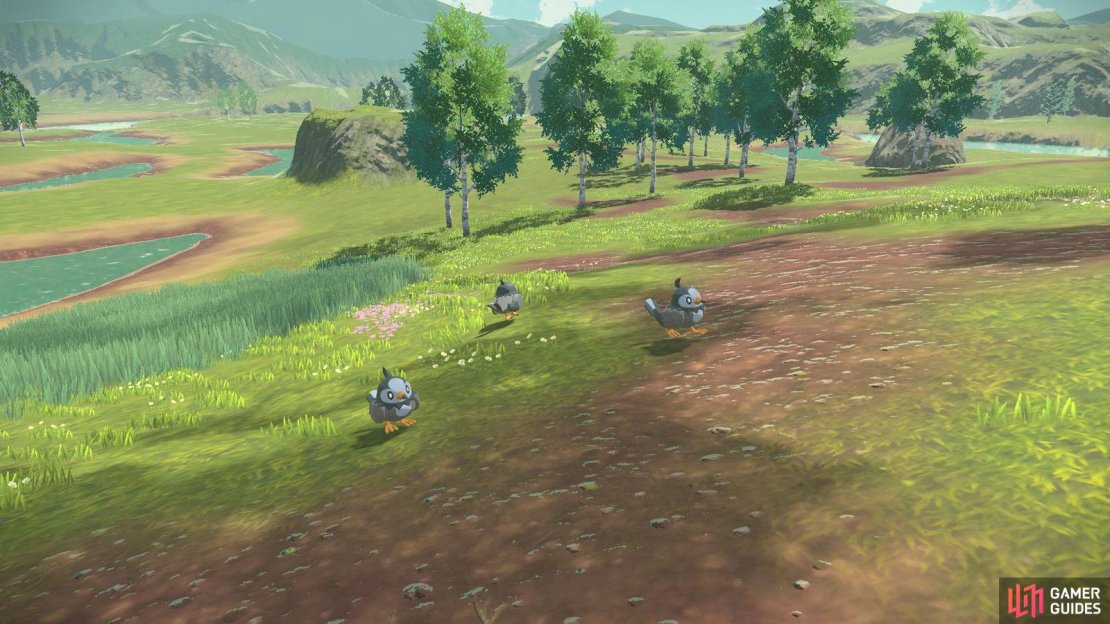 Time to search for herds of Starlys! (Credit: The Pok&eacute;mon Company)