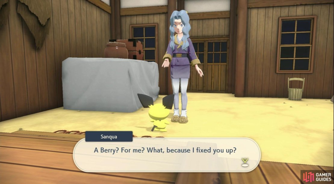 Sanqua had helped Pichu in the past!