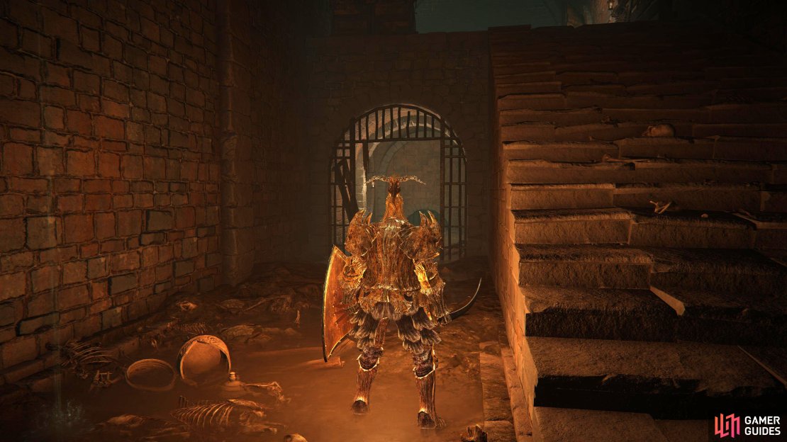 After heading back up the ladder, go through the gate next to the stairs.