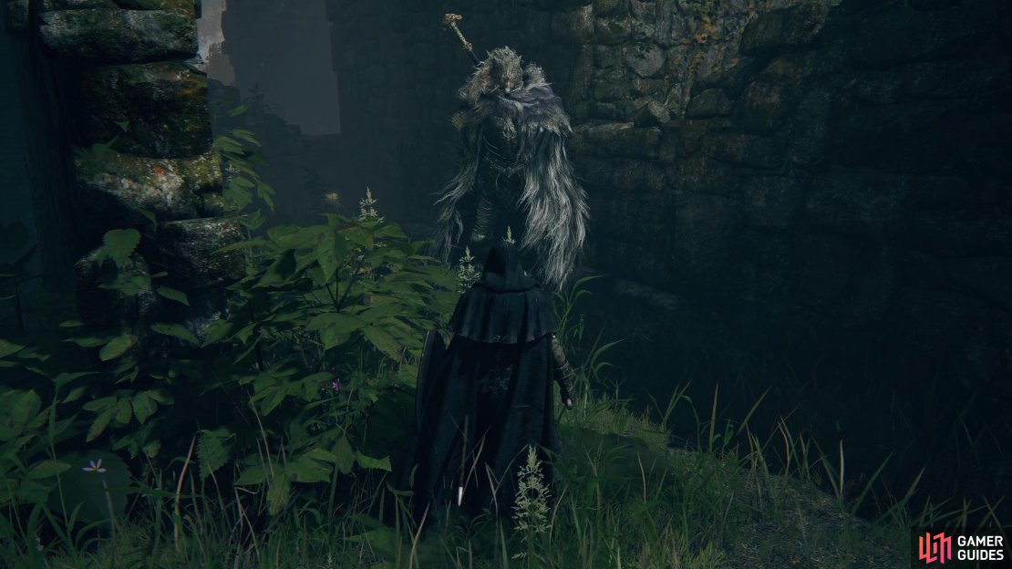 Blaidd will appear once you&rsquo;ve done the Finger Snap emote near the ruins.