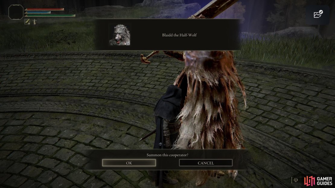 Blaidd&rsquo;s summon sign will appear near the center of the arena once you have activated the arena.