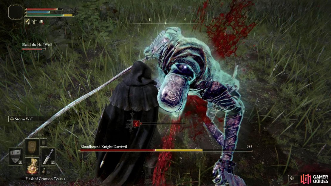 Let Blaidd take the brunt of Darriwil&rsquo;s attacks, whilst you step in for a backstab or riposte.