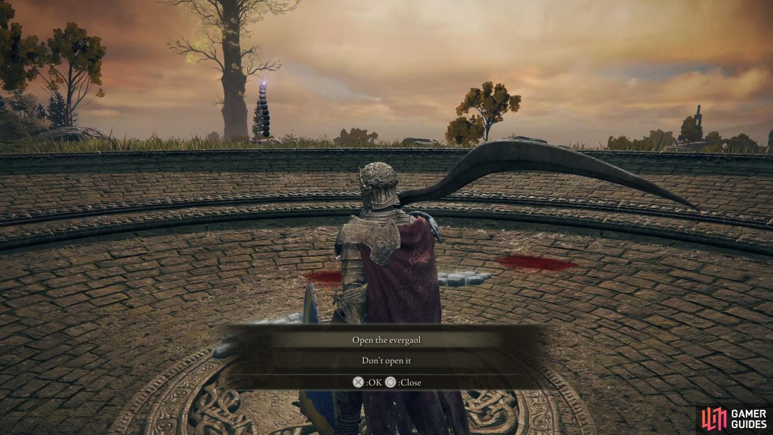 This encounter with Blaidd is optional but provides important context for Blaidd&rsquo;s story.