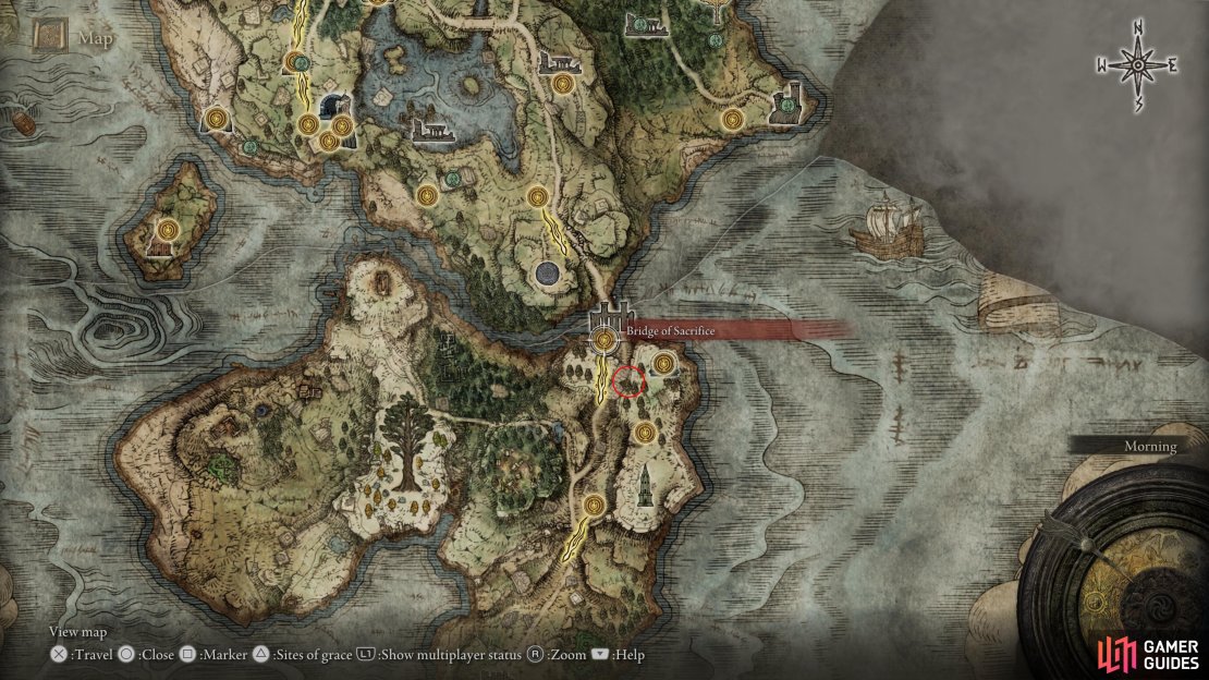 Head just south of Bridge of Sacrifice in Weeping Peninsula to find Irina