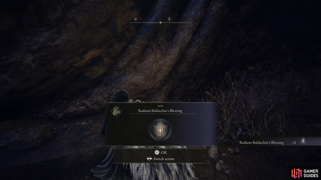 agree to let Fia hold you after defeating her champions to obtain this