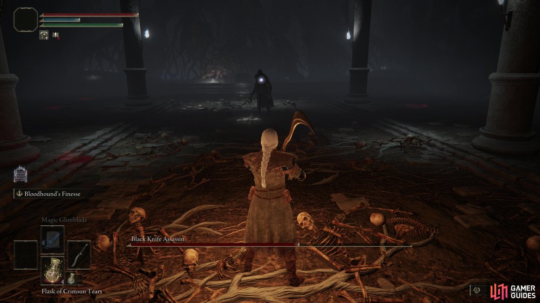 After pulling the lever to open some sealed doors you can confront the Black Knife Assassin.
