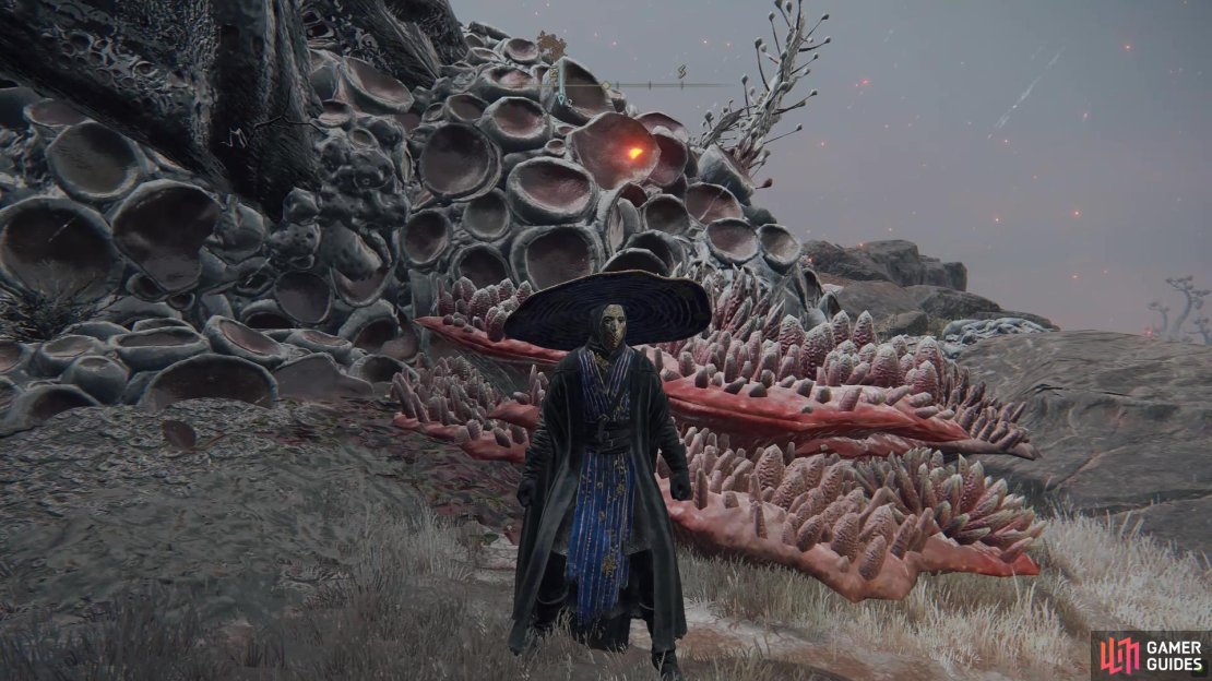 Praeceptor&rsquo;s armor set.