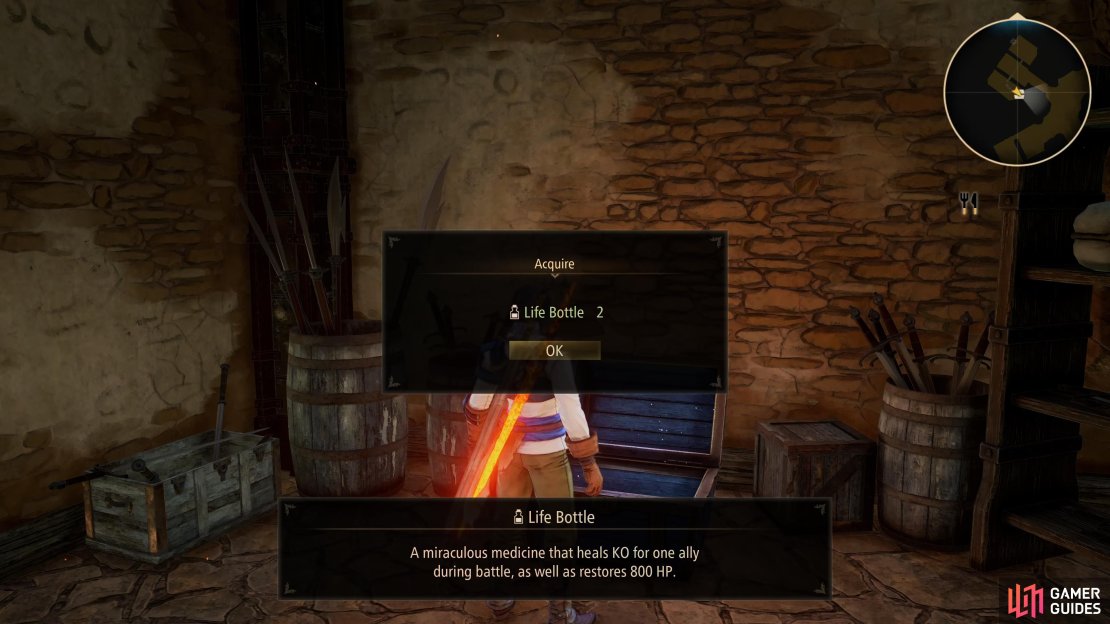 A Chest containing Life Bottles can be found in the western room