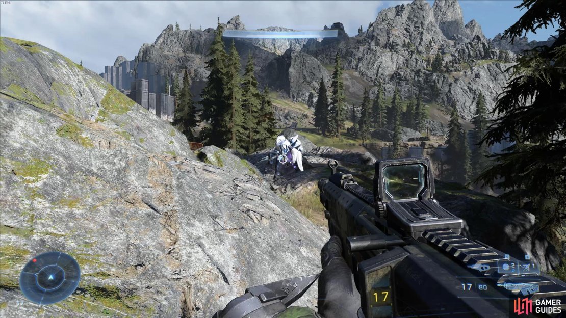 You can melee the close ranged Skimmers for a one hit kill.