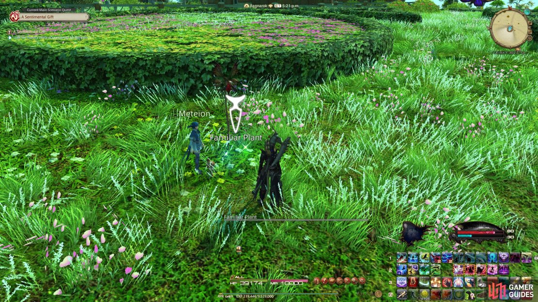 Examine the Familiar Plant