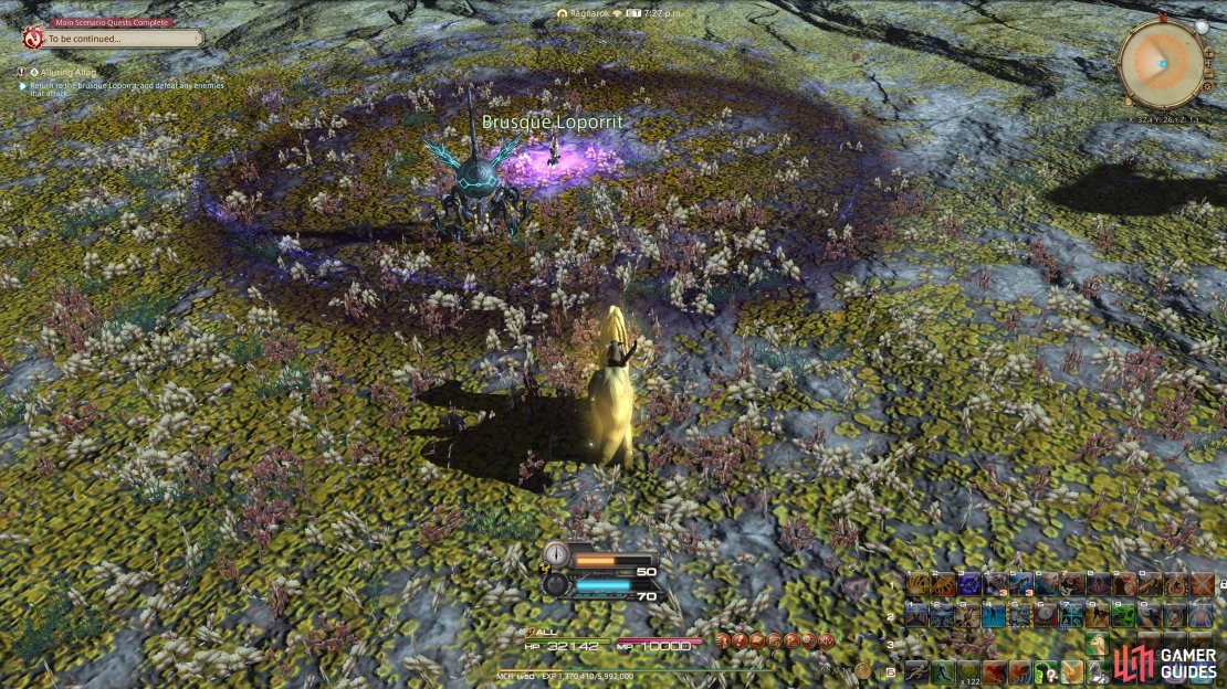 Return to the Brusque Loporrit