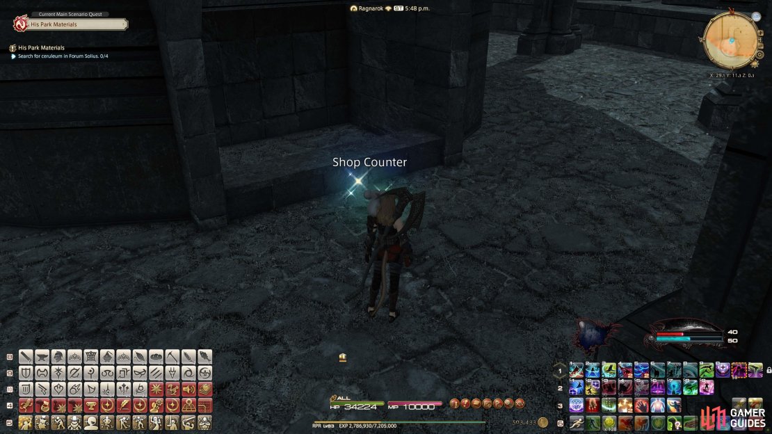 The Shop Counter Location