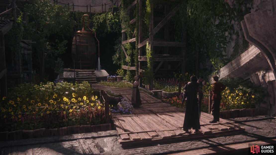 The garden at !The Hideaway, where you&rsquo;ll often find !Nigel.