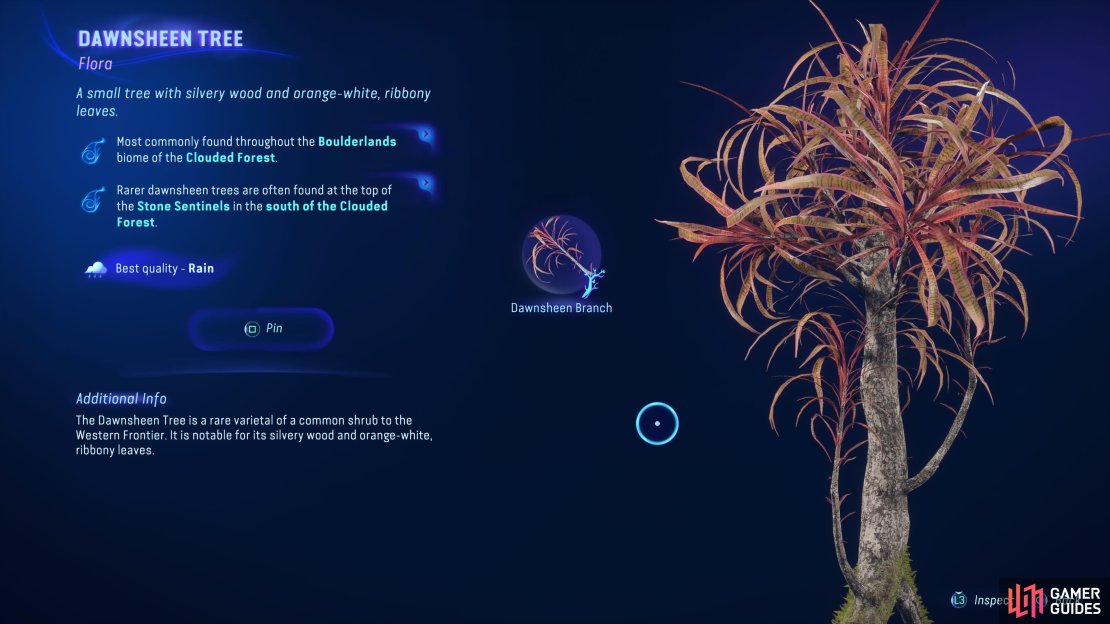 Dawnsheen Branches are usually only found in the Clouded Forest.