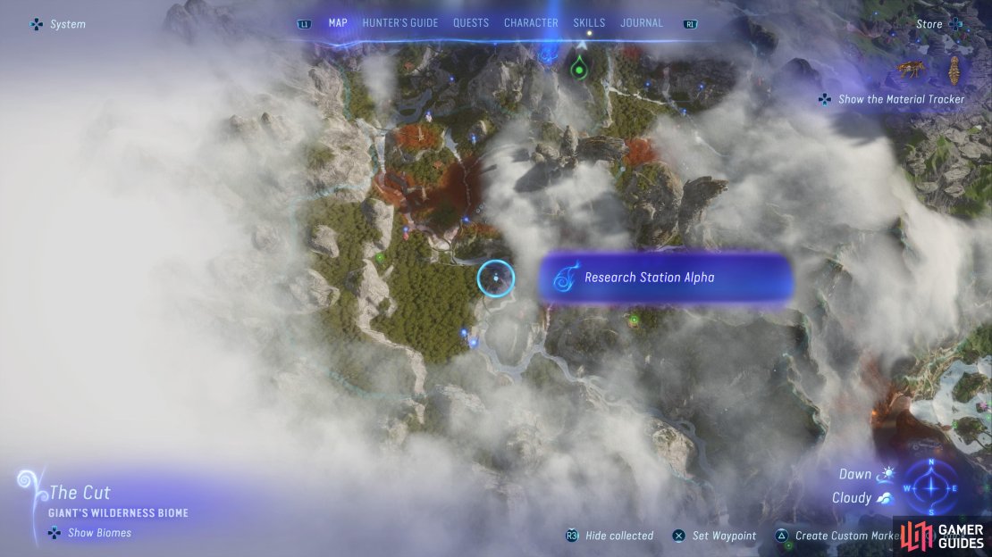 The facility you go to is located in The Cut area of the Clouded Forest.
