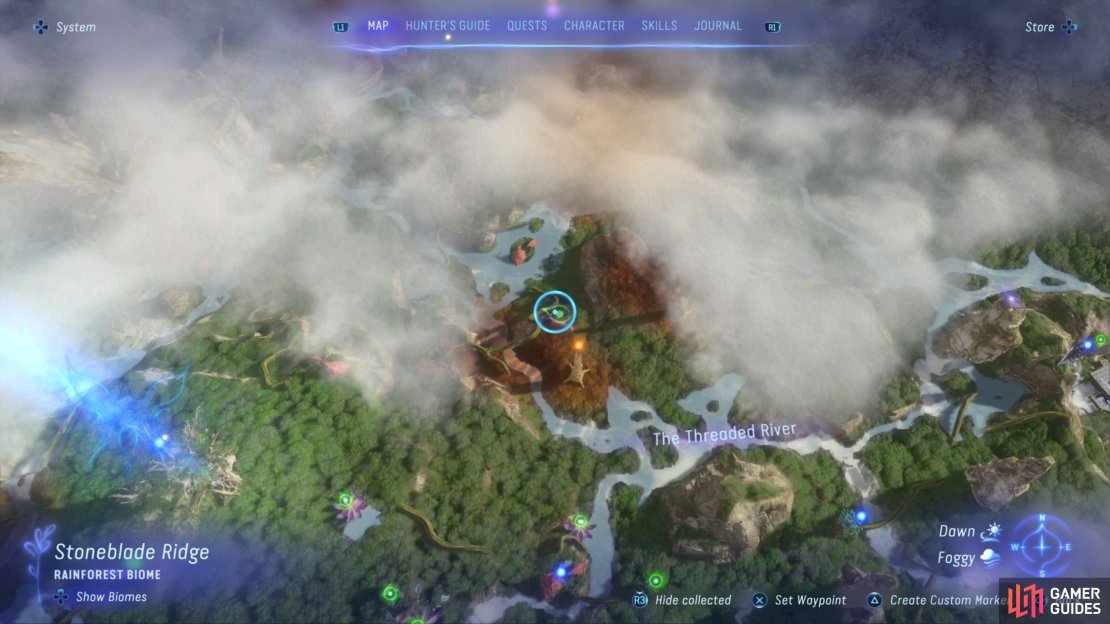 This is just one spot that you can find Vine Fiber on the map.