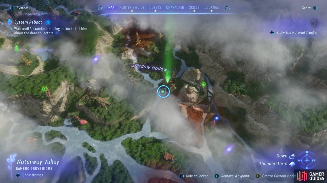 Go to Shadow Hollow in the Spinner&rsquo;s Circle sub-region of Kinglor Forest