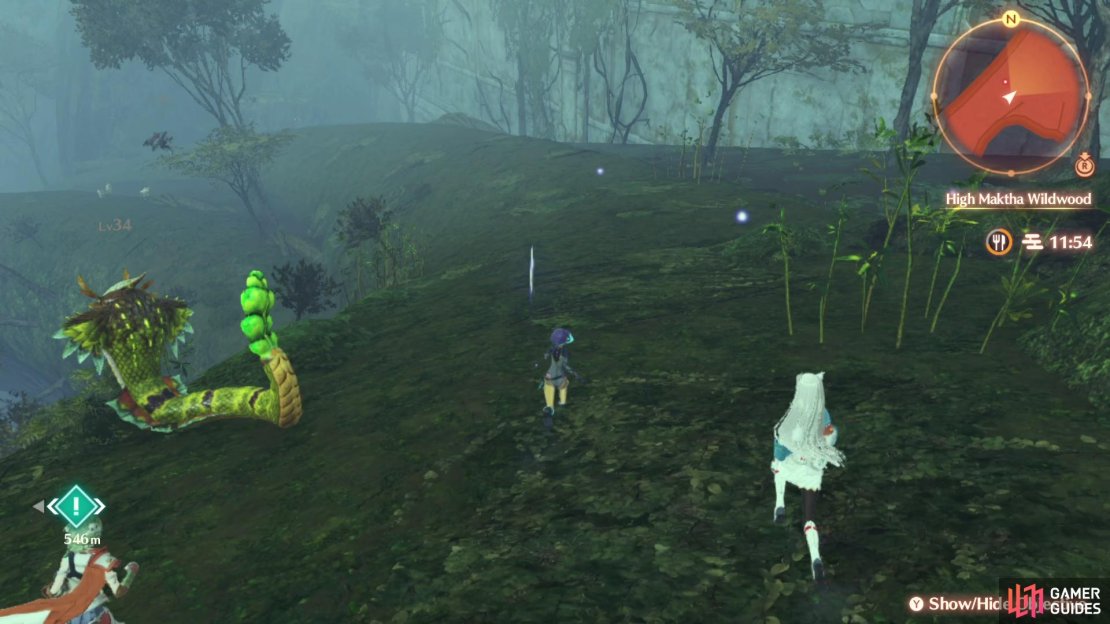 Head to the bottom of the great tree to reach Low Maktha Wildwood