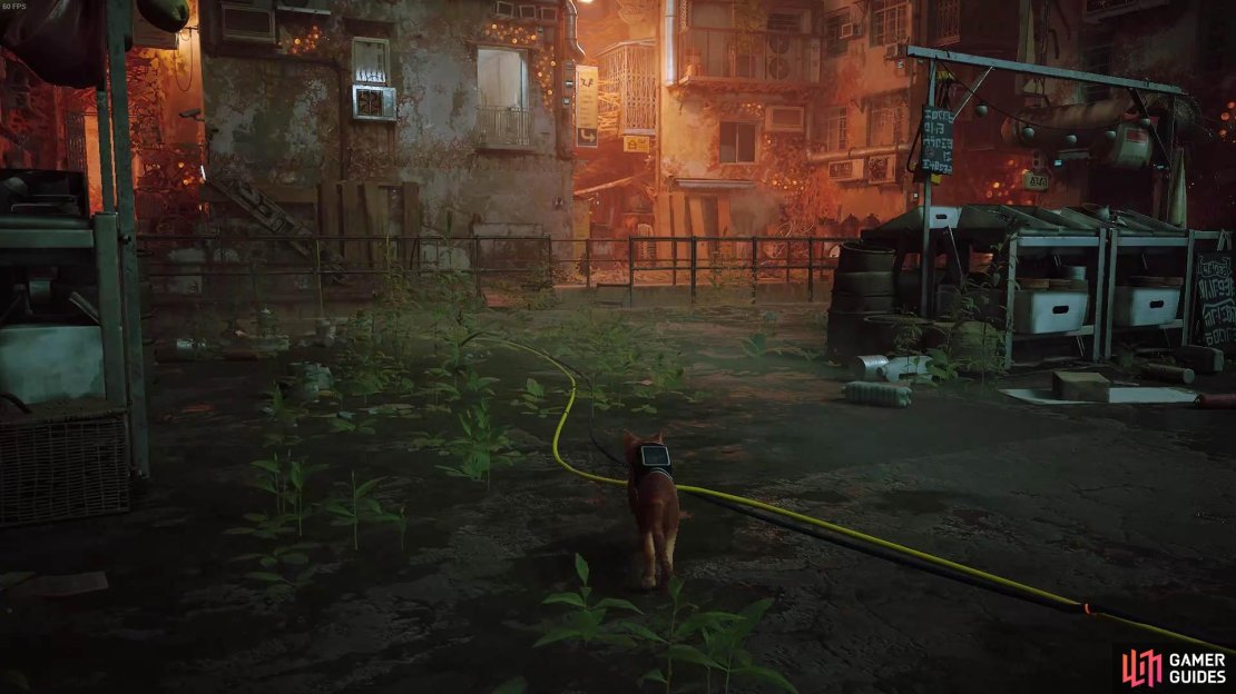 Follow the cable to find Doc&rsquo;s house.