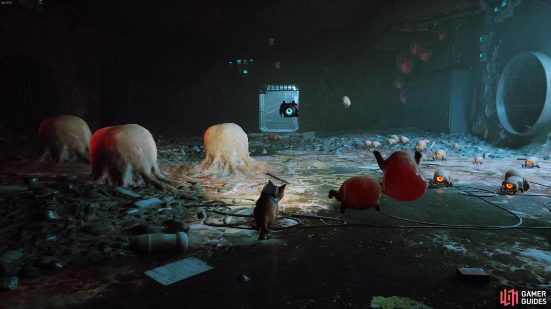 We offer tips to earn Stray&rsquo;s Pacifist trophy.