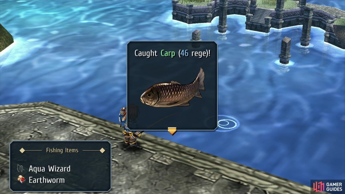 At the Ursula Road - Estuary fishing spot you can catch Carp,