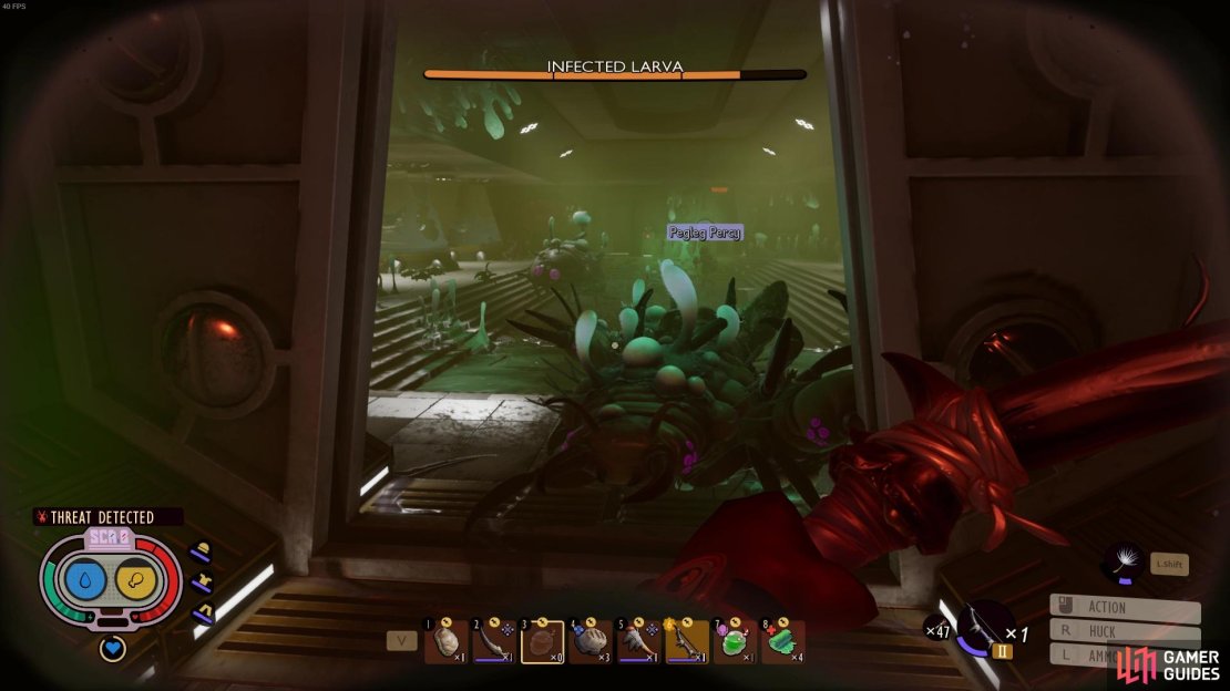 Don&rsquo;t let the larvae corner you in the entryway - it&rsquo;s a bad idea!