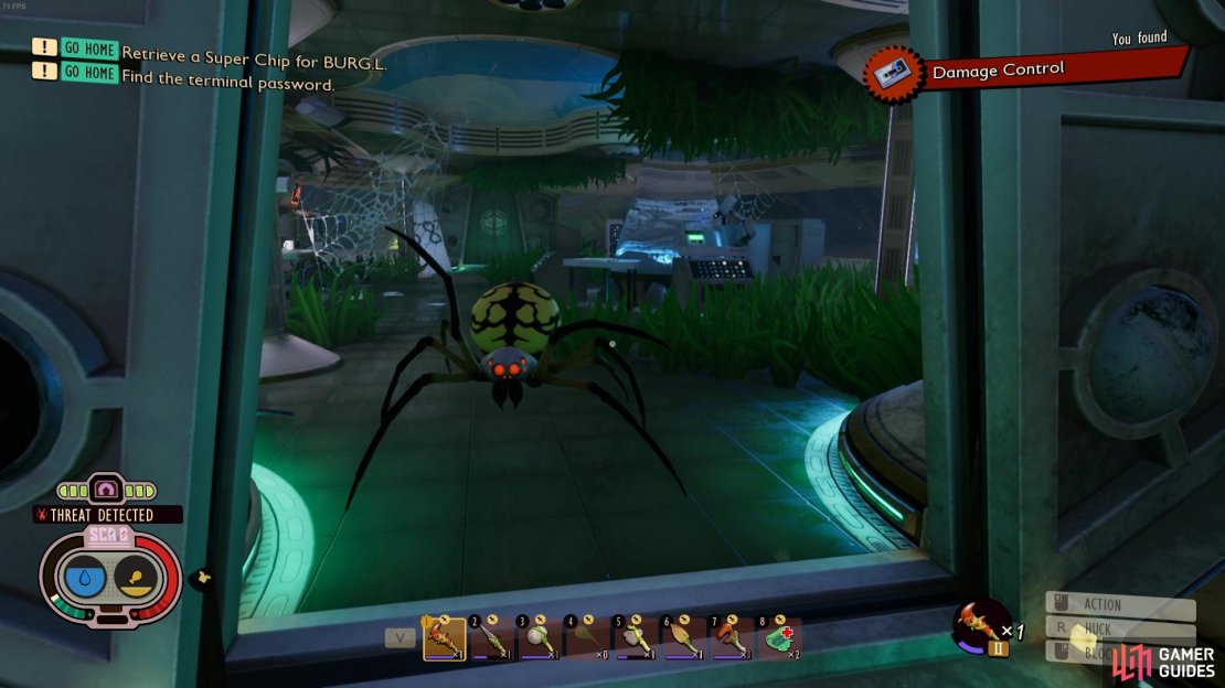 If you&rsquo;ve been avoiding the big spiders, I&rsquo;m afraid it&rsquo;s now time to face your fears!