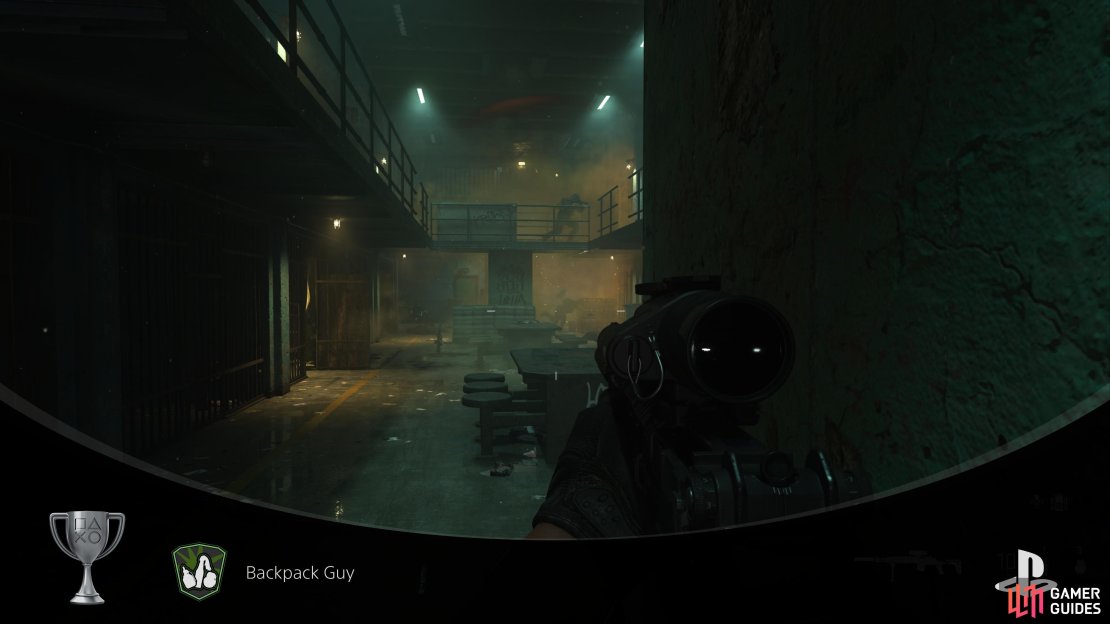 You&rsquo;ll obtain the Backpack Guy Trophy after killing stunned enemies with all three types of grenades.