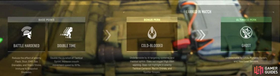 Here is a quick look at the best MP5 perks in MW2 for most maps and game modes available.