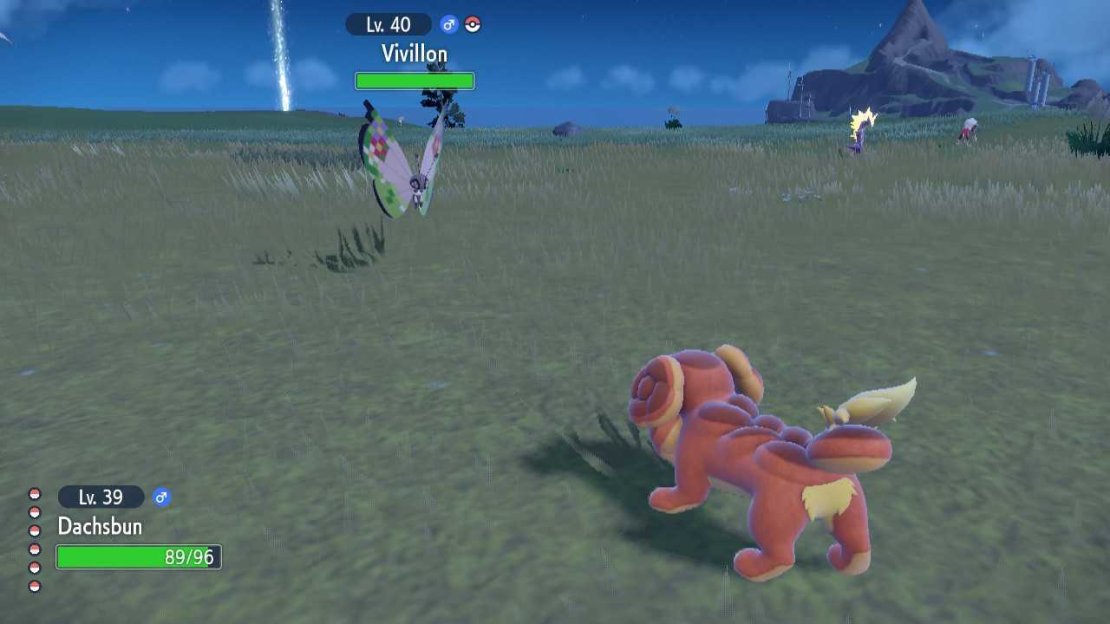 Dachsbun in a Pok&eacute;mon battle