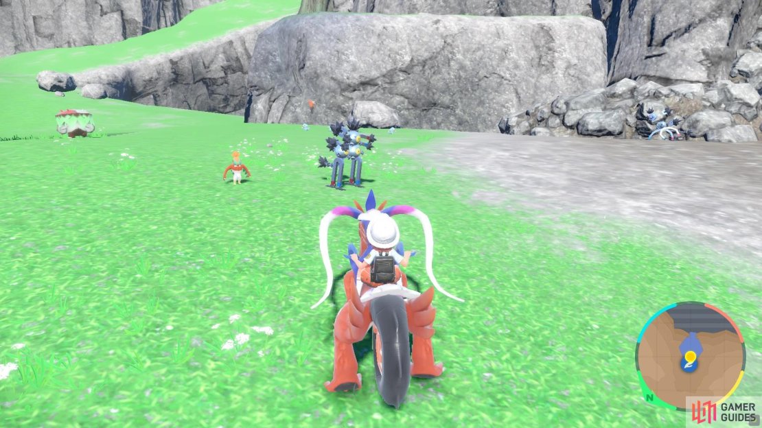 Look out for the Sandy Shocks that occasionally spawn near the gravelly slopes.