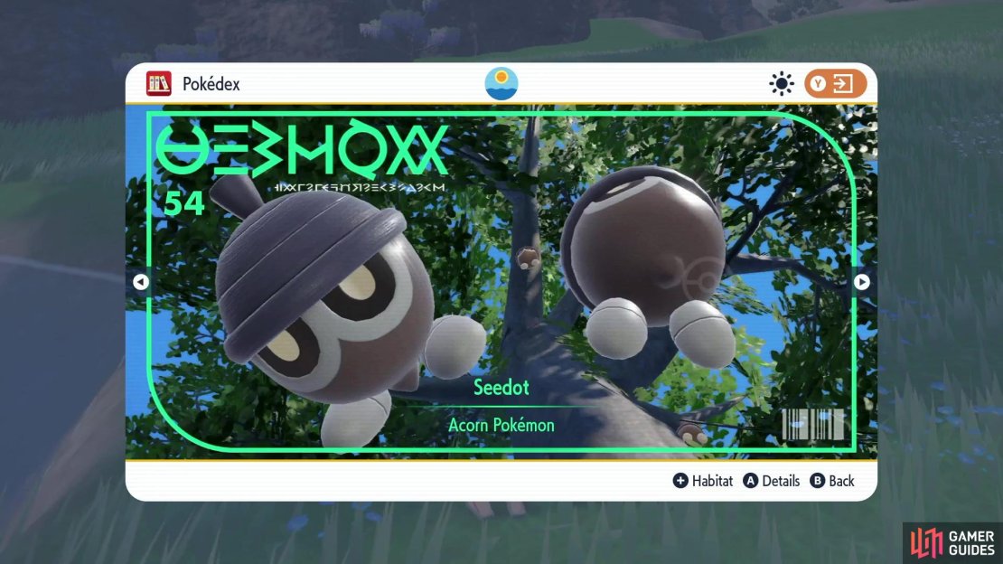 Seedot Pokédex Picture