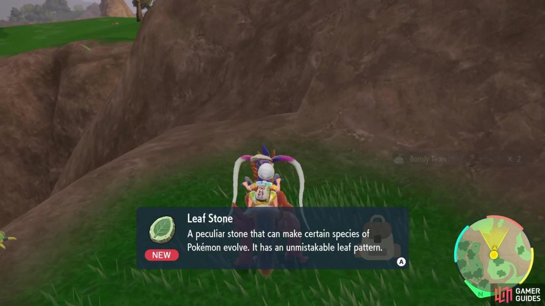 A Leaf Stone can be found on the right-hand corner of the grassy area next to the cliff edge.