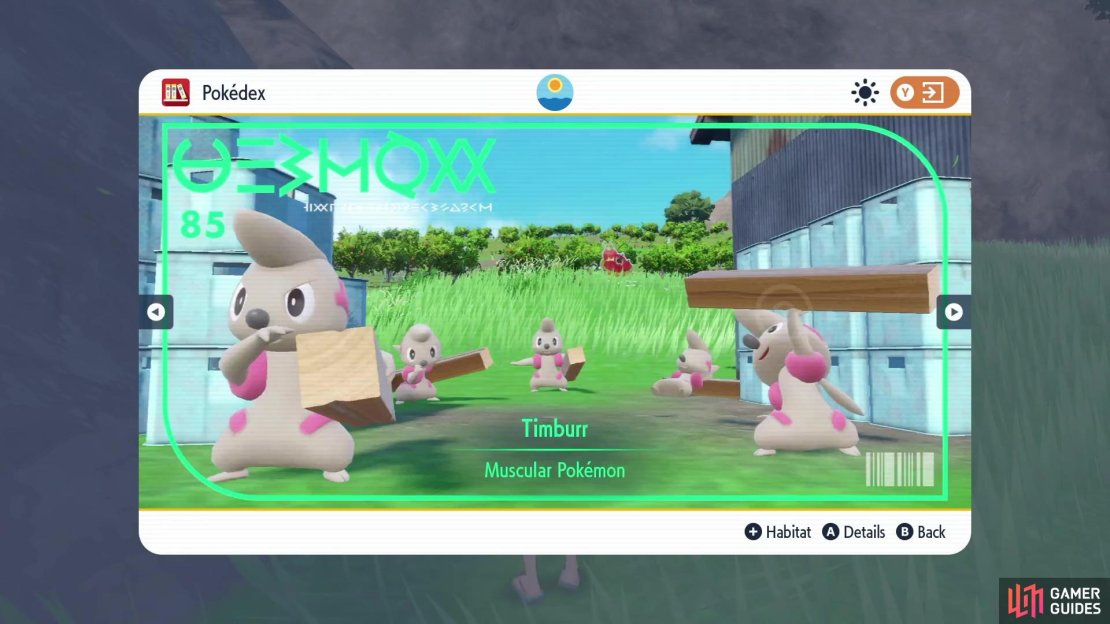 Timburr Pok&eacute;dex Image