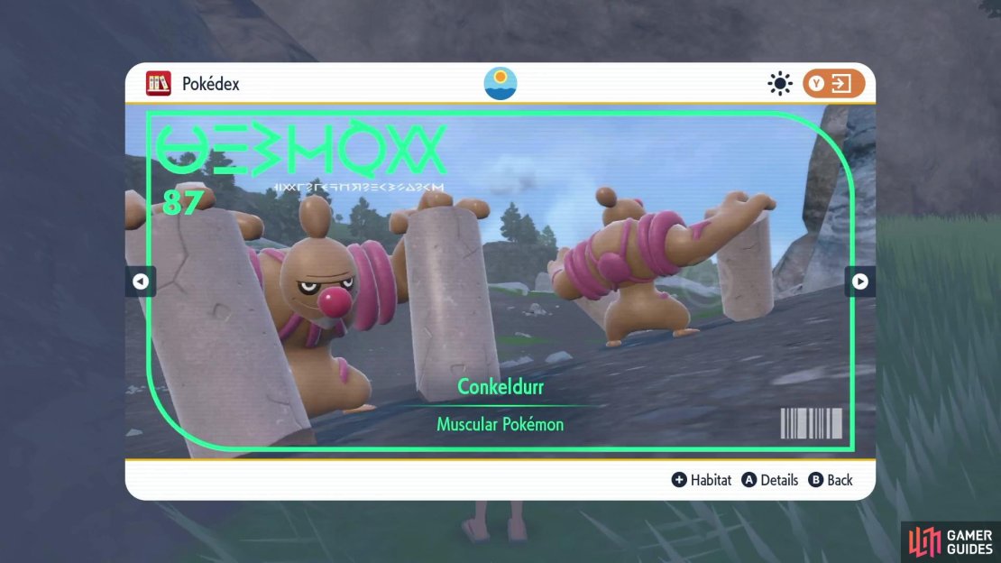 Conkeldurrs Pok&eacute;dex Image.