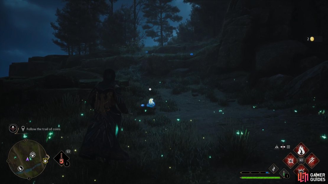 Follow the Trail of Gold