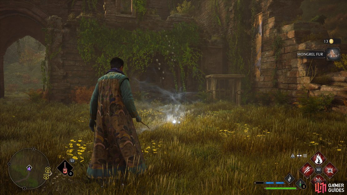 The third !Hogwarts Valley Hotspot