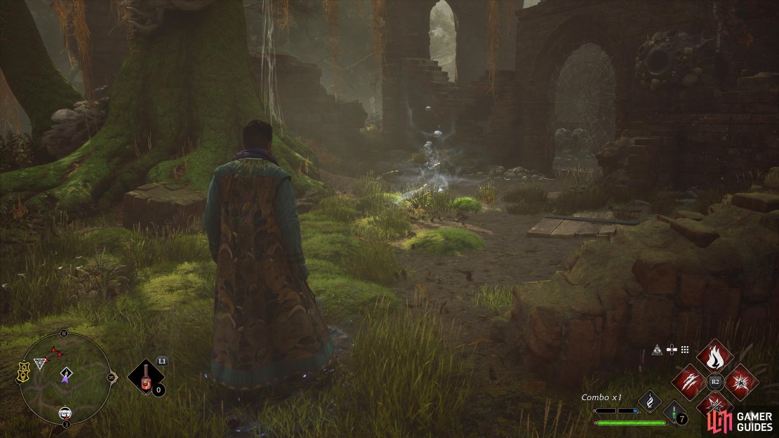 The first !Forbidden Forest Ancient Magic Hotspot
