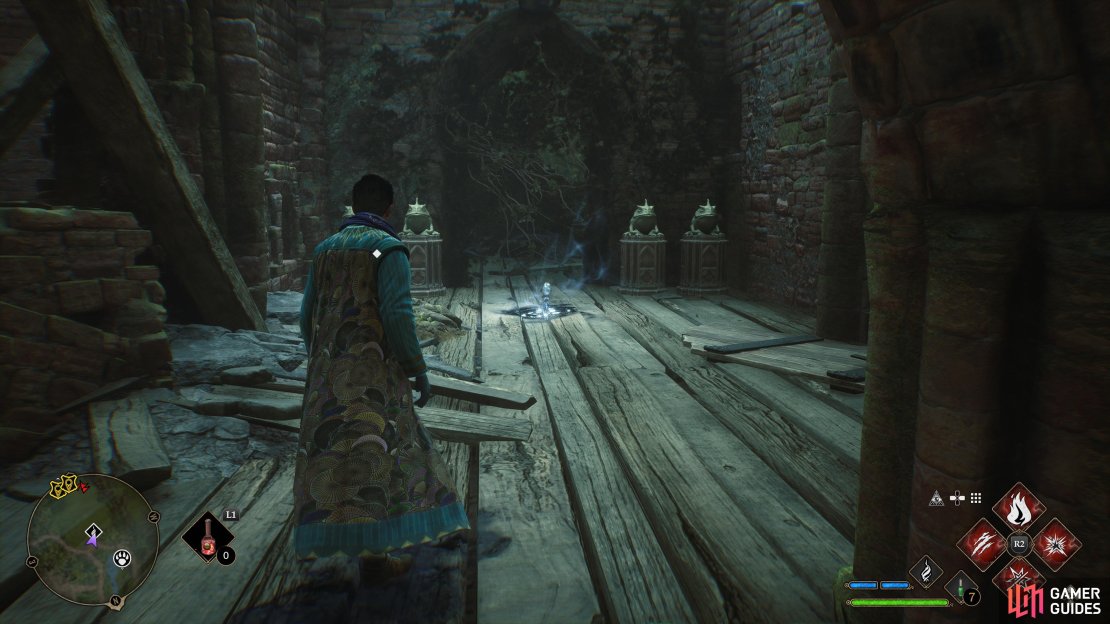The second !Forbidden Forest Ancient Hotspot