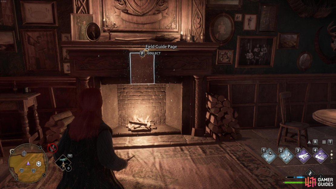 Get cosy by the fireplace&hellip;and also grab another field guide page!