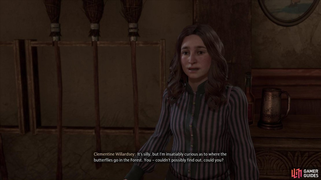 Talk to Clementine Willardsey and she&rsquo;ll ask you to chase down some mysterious butterflies in the Forbidden Forest.