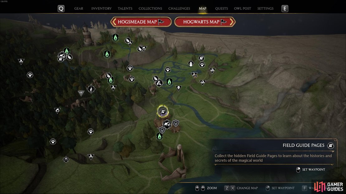 The location of the Pumpkin Fizz Revelio Field Guide Page, just north of Upper Hogsfield.