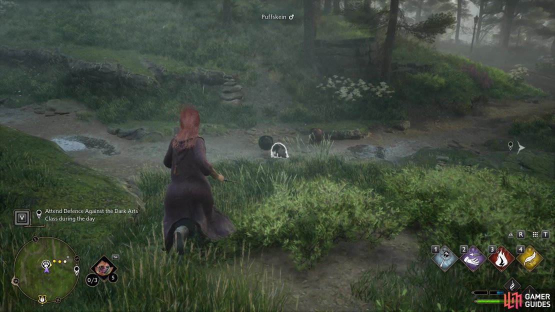 Soon you&rsquo;ll be able to tame your own Puffskeins!