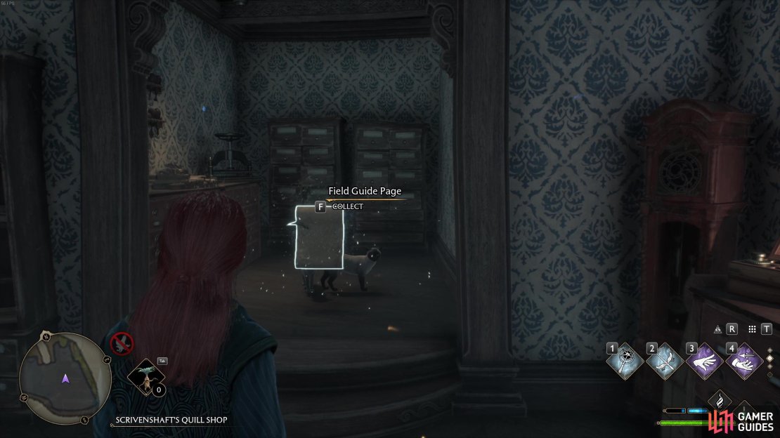 Scrivenshaft&rsquo;s Quill Shop is over run with cats!
